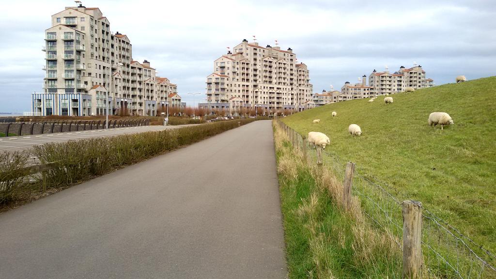Port Scaldis Apartment Breskens Exterior foto